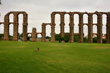 Roma su kemeri. Merida. İspanya.