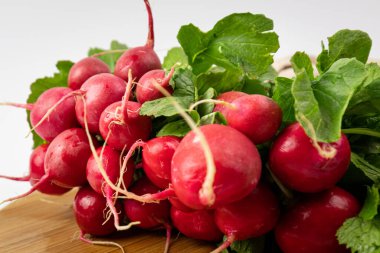 Bir demet taze turp. Sağlıklı sebzeler.