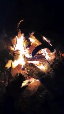 Sausages baked over a fire, vertical video