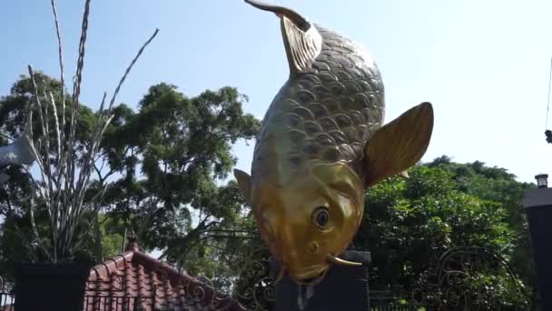 Pomnik Koi Pomnik Ryby Koi Blitar Jawa Wschodnia Indonezja — Wideo stockowe