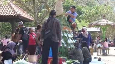 İnsanlar Sedekah bumi (Java Şükran Günü) için Sanggar sahilinde Tumpeng Sayur (sebze konisi) yapmak için sebze hazırlıyorlar.