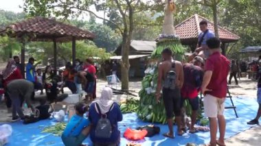 İnsanlar Sedekah bumi (Java Şükran Günü) için Sanggar sahilinde Tumpeng Sayur (sebze konisi) yapmak için sebze hazırlıyorlar.