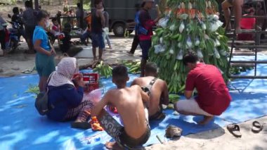İnsanlar Sedekah bumi (Java Şükran Günü) için Sanggar sahilinde Tumpeng Sayur (sebze konisi) yapmak için sebze hazırlıyorlar.