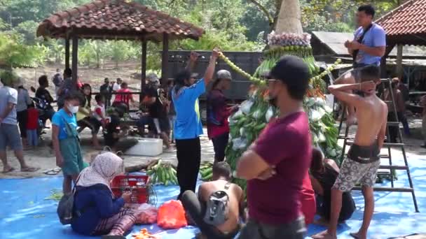 Люди Устраивают Овощи Сделать Tumpeng Sayur Овощной Конус Sedekah Буми — стоковое видео