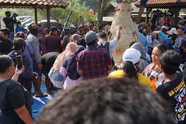 Gente Abarrotada Celebrando Sedekah Bumi Javanese Thanksgiving Sanggar Beach —  Fotos de Stock