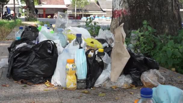 Basura Con Fondo Natural — Vídeos de Stock