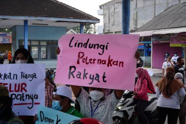 İnsanlar posterle protesto ediyor. Poster, hükümetin yumurta fiyatlarını yükseltmesi demekse...