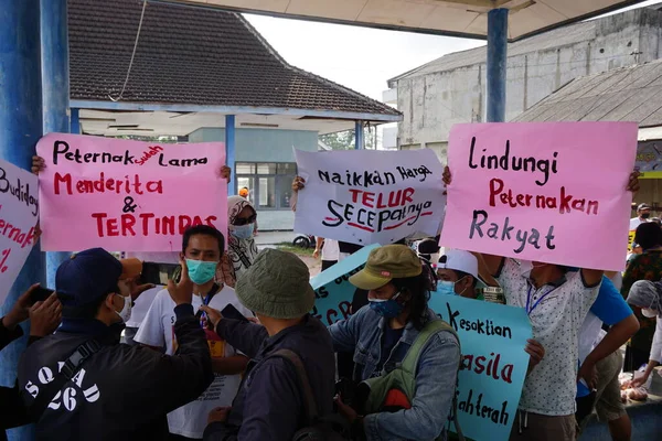 People Protest Poster Meaning Poster Want Government Increase Price Eggs — Stock Photo, Image