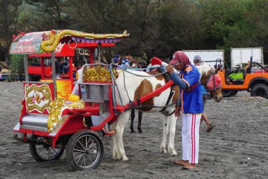 Parang tritis plajında renkli uçurtmalar, Yogyakarta, Endonezya