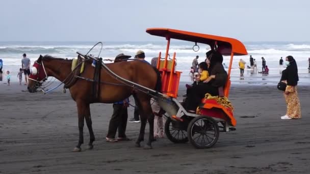 Caballo Tirado Esperando Pasajero Playa Parang Tritis Yogyakarta Indonesio Llaman — Vídeos de Stock