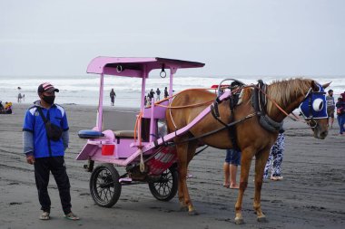 Parang Tritis plajı, Yogyakarta 'da bir at tarafından çekilmiş yolcu bekliyor. Endonezyalılar buna Dokar, Delman veya andong der.