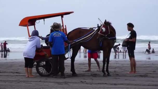 Caballo Tirado Esperando Pasajero Playa Parang Tritis Yogyakarta Indonesio Llaman — Vídeos de Stock