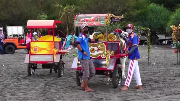 Paard Getrokken Wachtend Passagier Parang Tritis Strand Yogyakarta Indonesisch Noemen — Stockvideo