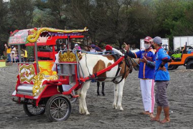 Parang Tritis Sahili, Yogyakarta, Endonezya 'da uçurtma satıcısı.
