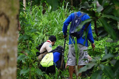 Bazı insanlar ormanı yeniden ağaçlandırıyor ve küresel ısınmayı azaltmak için bazı bitkiler getiriyorlar.