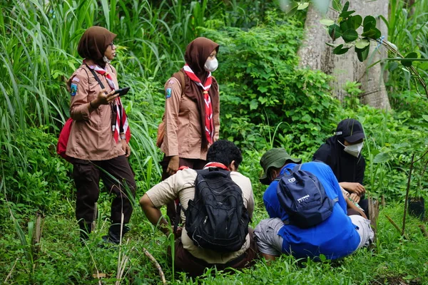 一部の人々は一緒に森林を再生し 地球温暖化を減らすためにいくつかの植物をもたらす — ストック写真