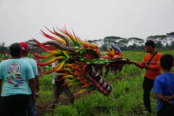 印度尼西亚的风筝节 印度尼西亚有许多种类的风筝 如Gapangan Batik Arsir Train Naga等 — 图库照片