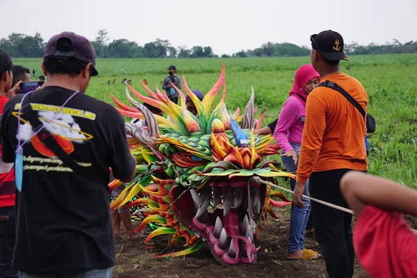 Festival Cometas Indonesia Indonesia Tiene Muchos Tipos Cometas Como Gapangan — Foto de Stock