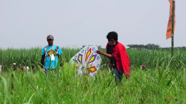 Indonesiska Drakfestivalen Indonesien Har Många Typer Drakar Såsom Gapangan Batik — Stockvideo