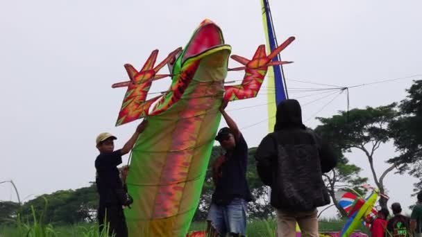 印度尼西亚的风筝节 印度尼西亚有许多种类的风筝 如Gapangan Batik Arsir Train Naga等 — 图库视频影像