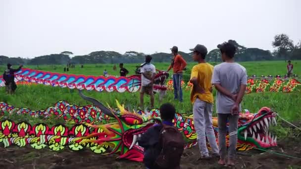 Indonesiska Drakfestivalen Indonesien Har Många Typer Drakar Såsom Gapangan Batik — Stockvideo