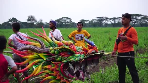 印度尼西亚的风筝节 印度尼西亚有许多种类的风筝 如Gapangan Batik Arsir Train Naga等 — 图库视频影像