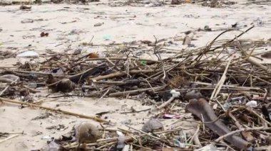Çöplerle dolu kirli bir sahil.