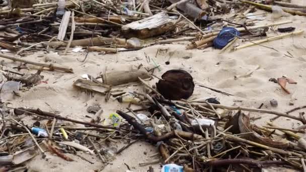 Βρώμικη Παραλία Γεμάτη Σκουπίδια — Αρχείο Βίντεο