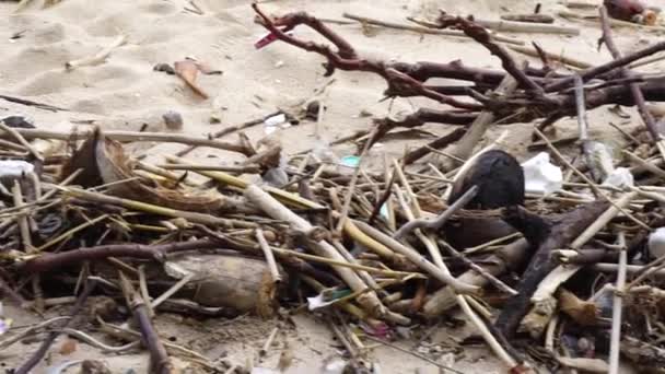 Brudna Plaża Śmieciami — Wideo stockowe