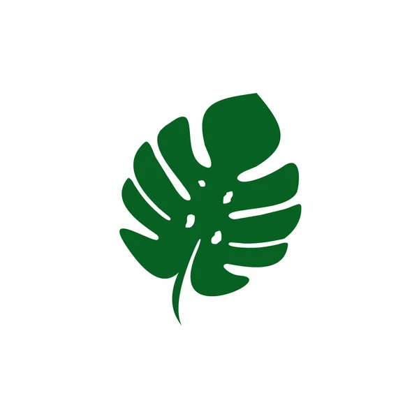 Monstera Délicieuse Feuille Vecteur Végétal Logo Design — Image vectorielle