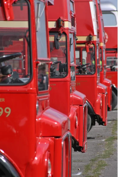Routemasters buses in a row — Stock Photo, Image