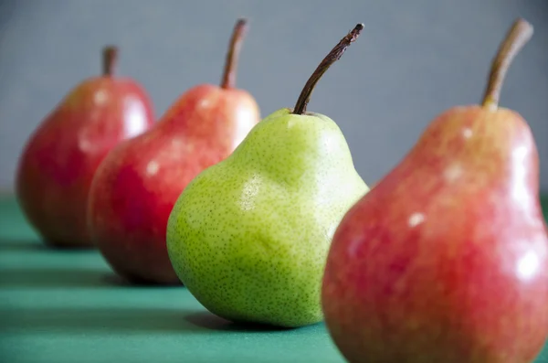 Red and green apples close-up on one line Royalty Free Stock Images