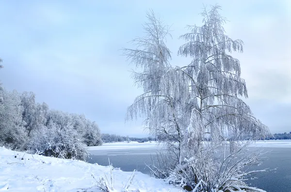 Winterlandschaft mit Bäumen, Raureif und Seeblick — Stockfoto