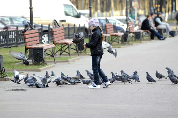 Fille cinq ans nourrit pigeons — Photo