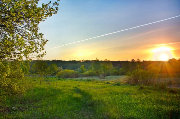 Landscape with the sunrise over the meadow and lines from the ai — Stock Photo, Image