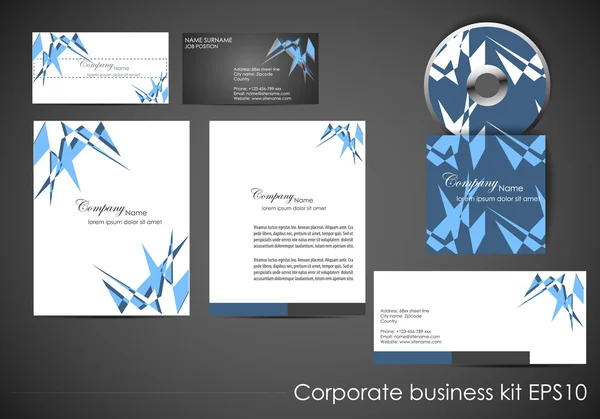 Kit de identidad corporativa profesional o kit de negocios — Vector de stock