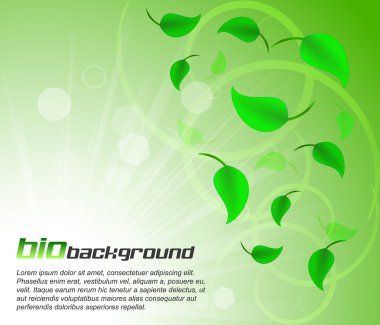 yeşil yaprakları bio arka plan