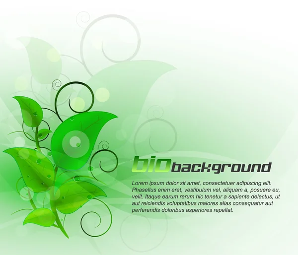 Green leaves bio background — Stock Vector