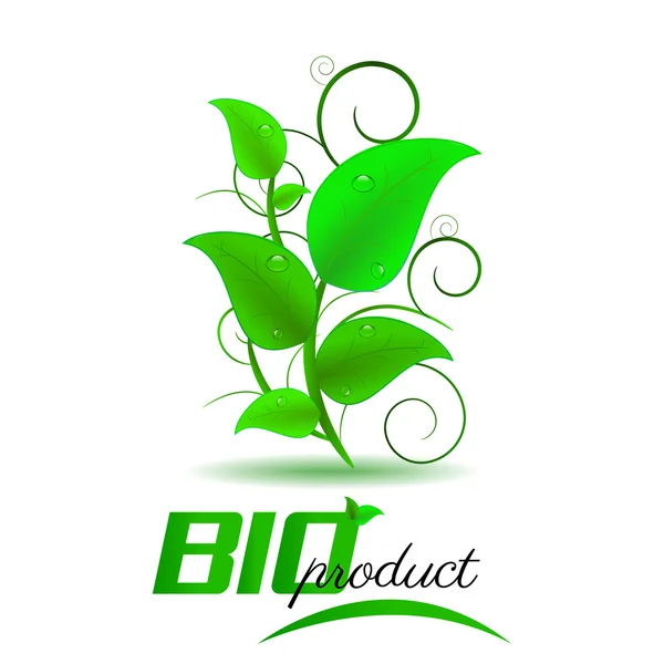 Producto bio, fondo con hojas verdes — Vector de stock