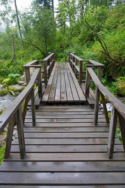 Pont en bois dans une forêt pluvieuse, après la pluie entre de grands arbres verts — Photo