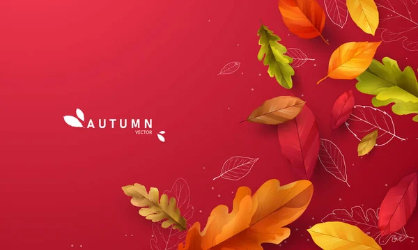 Automne Vente Chute Feuilles Fond Nature — Image vectorielle