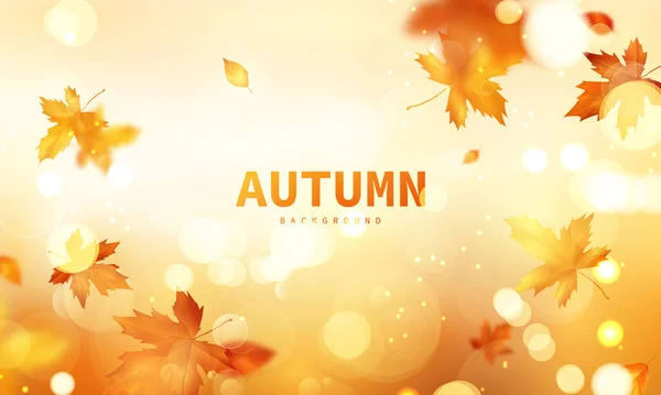 Automne Vente Chute Feuilles Fond Nature — Image vectorielle