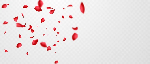 赤いバラの花びらが抽象的な花の背景に落ちます豪華なバラの花びらグリーティングカードデザイン — ストックベクタ