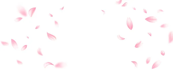 Roze Rozenblaadjes Zal Vallen Abstracte Bloemenachtergrond Met Prachtige Rozenblaadje Wenskaart — Stockvector