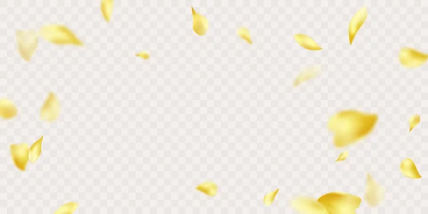 Rendering Falling Sunflower Petals White Background — Fotografia de Stock