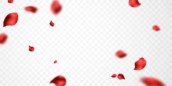 Falling Rose Petals Background Vector Design Illustration — Stockfoto