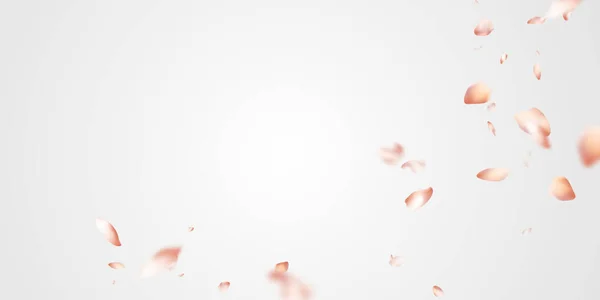 Falling Sakura Petals Background Illustration Design Vector — Fotografia de Stock
