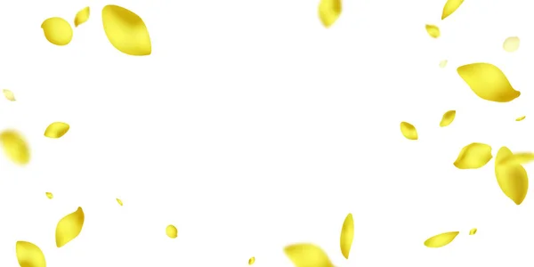 Sunflower Petals Falling Design Vector Illustration — Stockfoto