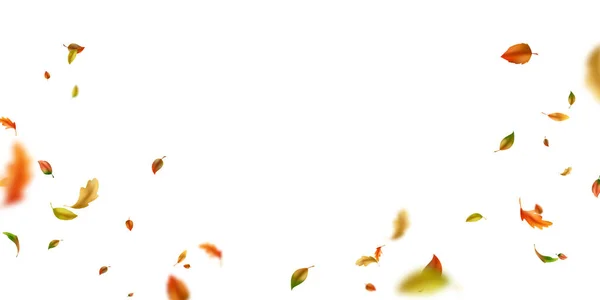 Background Leaves Fluttering Wind Vector Illustration — стоковое фото