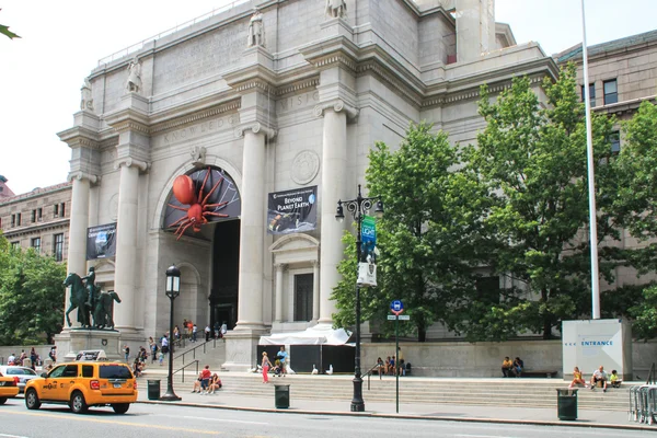 Amerikan Doğal Tarih Müzesi ile new york